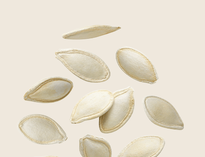 PUMPKIN SEED EXTRACT