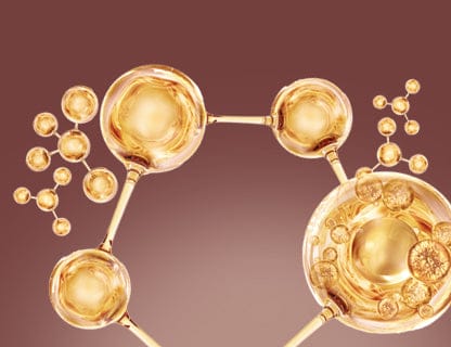 BCAA amino acids  (Leucine, Isoleucine, Valine)