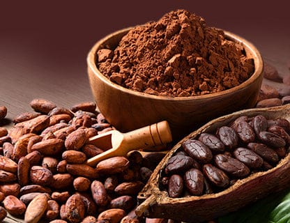 Low-fat cocoa powder