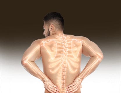 ... supports the processes in your body