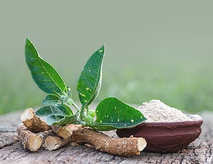 Use of root and leaf