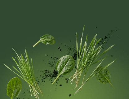 A variety of superfoods