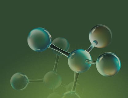 Bioactive B vitamins