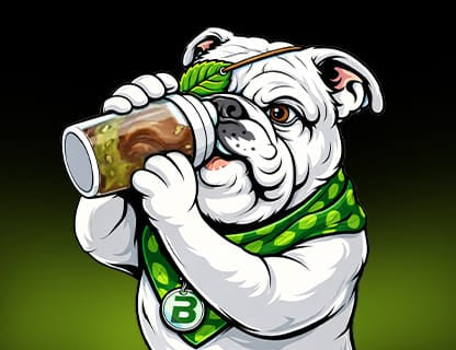 EAA Dog