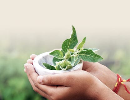 Open to traditional herbal solutions