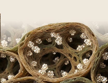 Solvent-free, modern production technology 