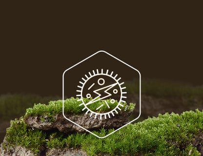 Nicotinamide riboside chloride, the cells’ energy source