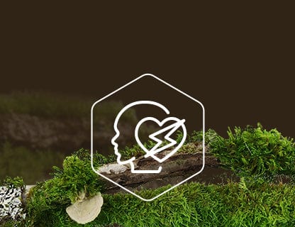 Coenzyme Q10, the cells’ engine