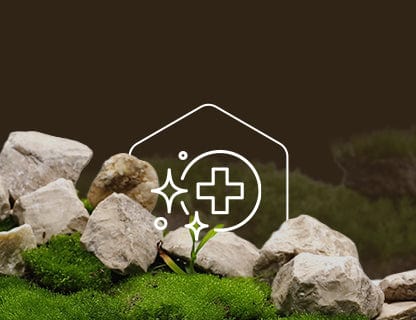 Trans-resveratrol, the polyphenol power