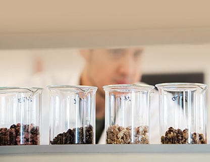 You’re looking for a harmonious composition