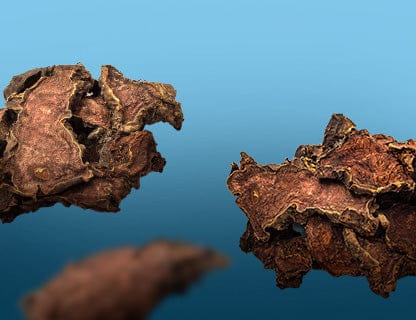 An old favourite of northern cultures